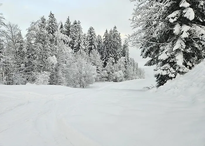 Apartmán Alpen Ii *