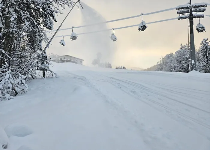 Alpen Ii Apartmán Ellmau