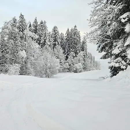 Apartamento Alpen Ii *